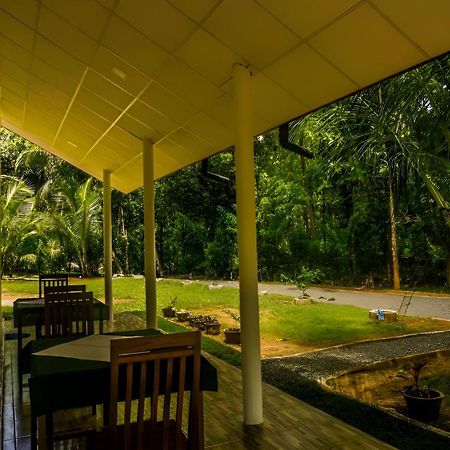 Little Ele Safari Lodge Udawalawe Eksteriør billede
