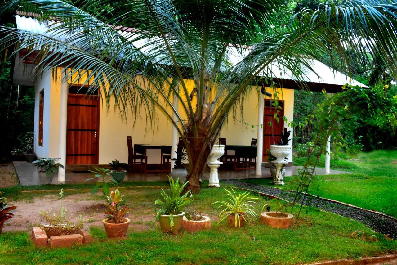 Little Ele Safari Lodge Udawalawe Eksteriør billede
